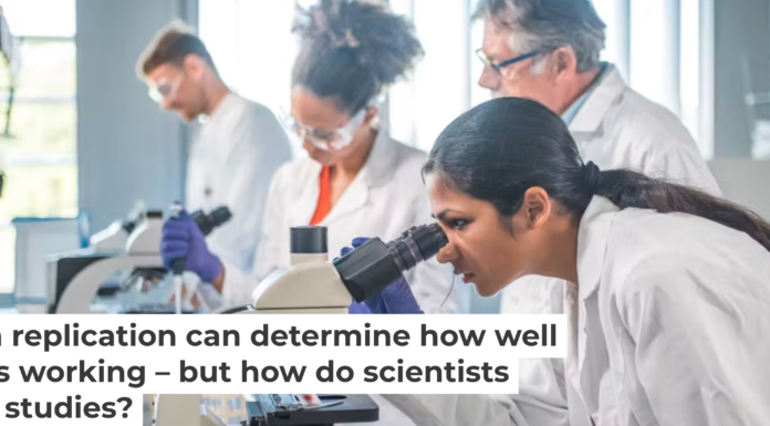 Some research teams work on replicating prior studies to assess the value of a body of work. AzmanL/E+ via Getty Images